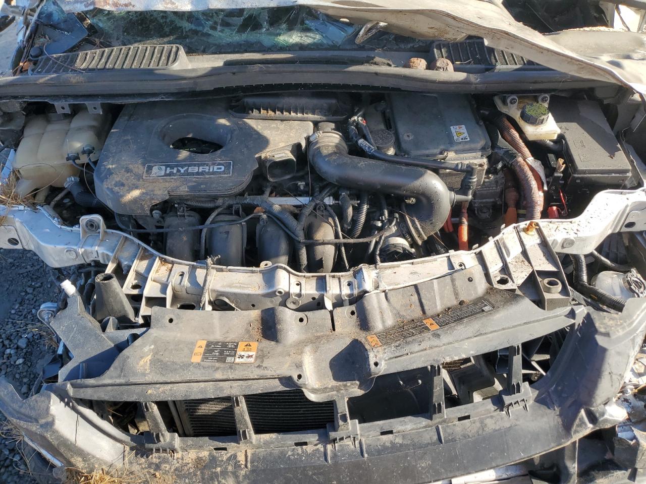 2015 Ford C-Max Sel VIN: 1FADP5BU3FL101850 Lot: 82648345