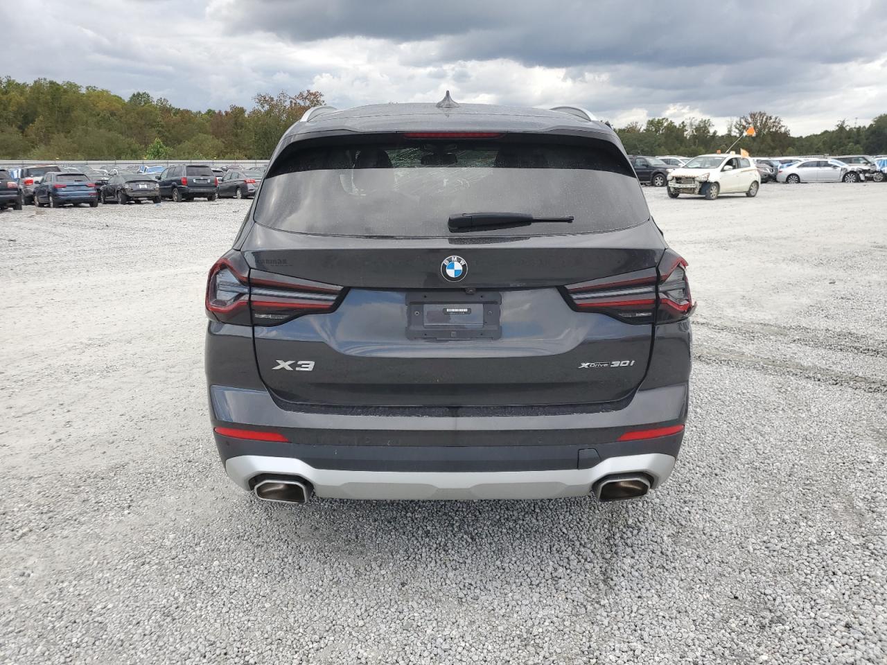 2023 BMW X3 xDrive30I VIN: 5UX53DP01P9R39768 Lot: 90223165