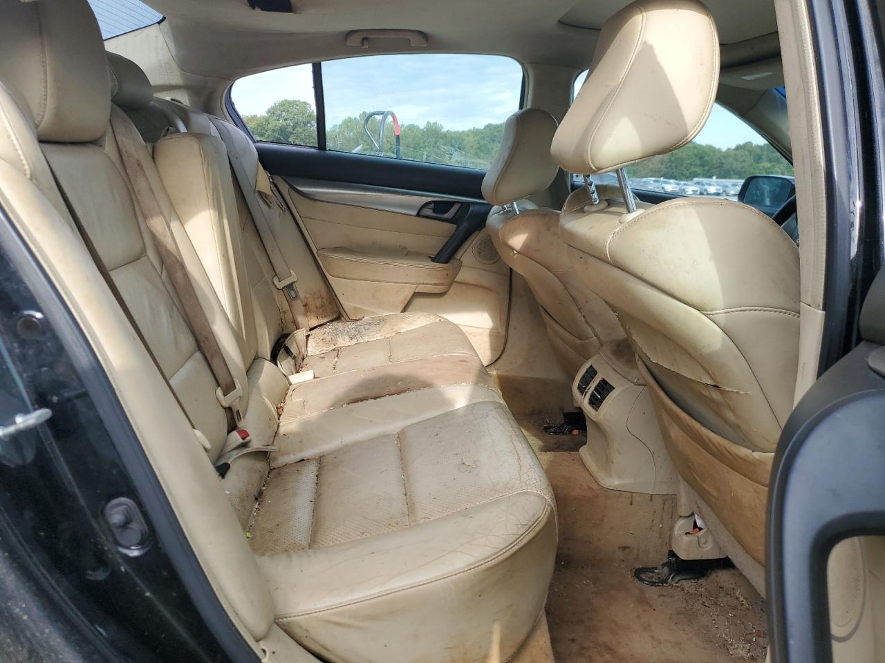 2010 Acura Tl VIN: 19UUA8F57AA023837 Lot: 84876305