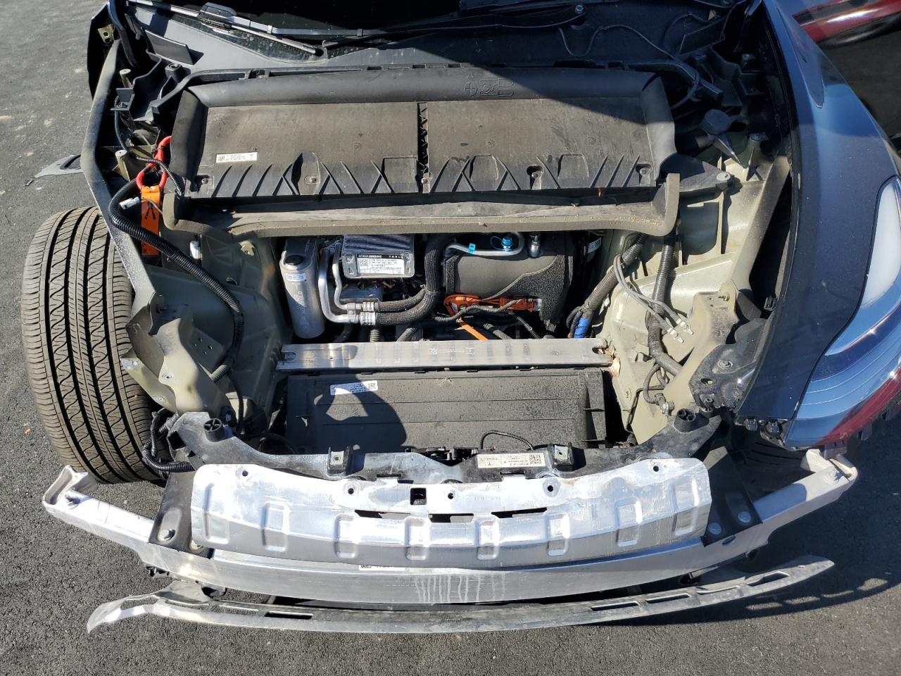 2023 Tesla Model Y VIN: 7SAYGDEEXPA122774 Lot: 89653325