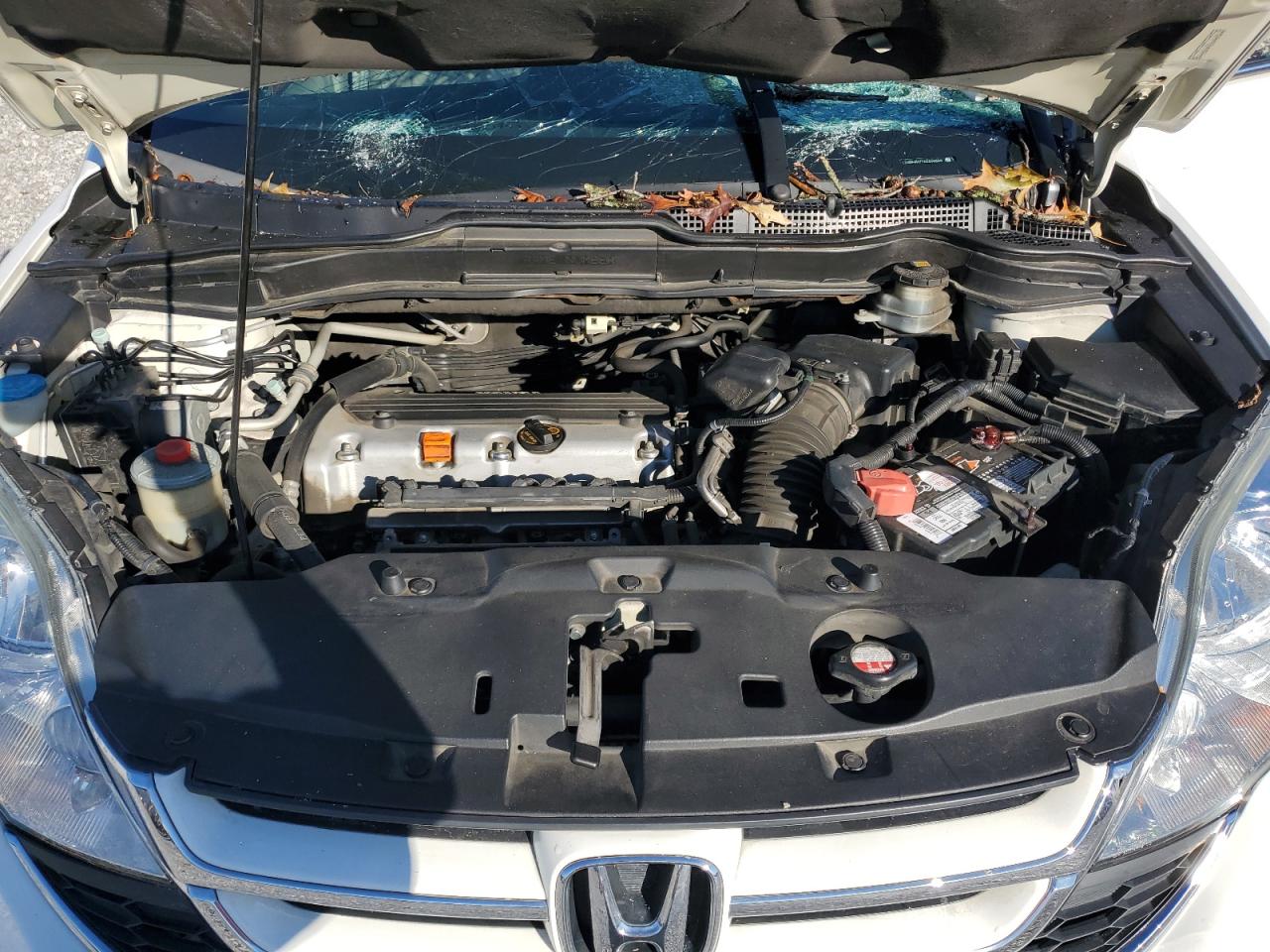 2010 Honda Cr-V Exl VIN: 5J6RE4H77AL014649 Lot: 82337755