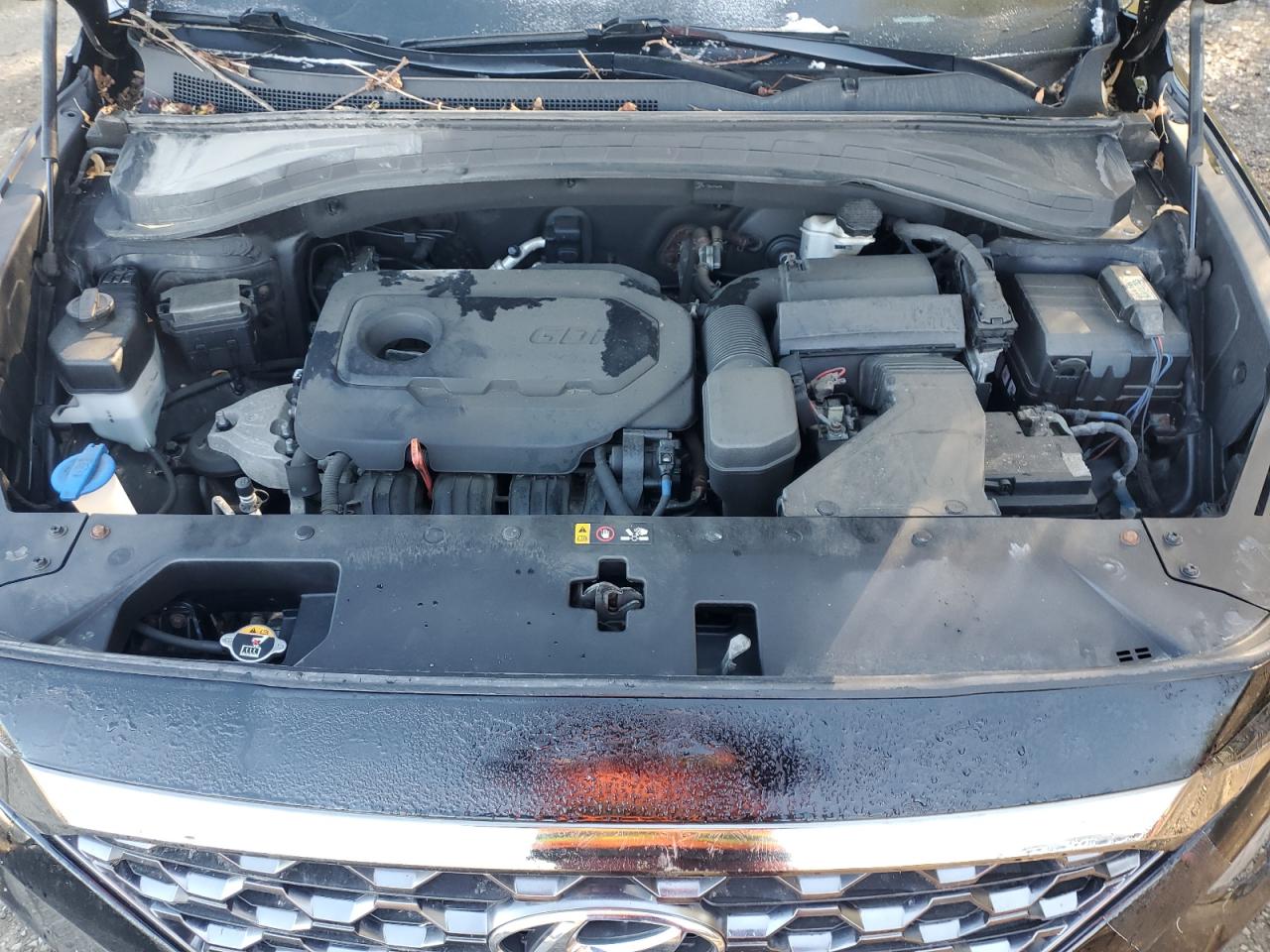 2019 Hyundai Santa Fe Sel VIN: 5NMS3CAD1KH121982 Lot: 84900695