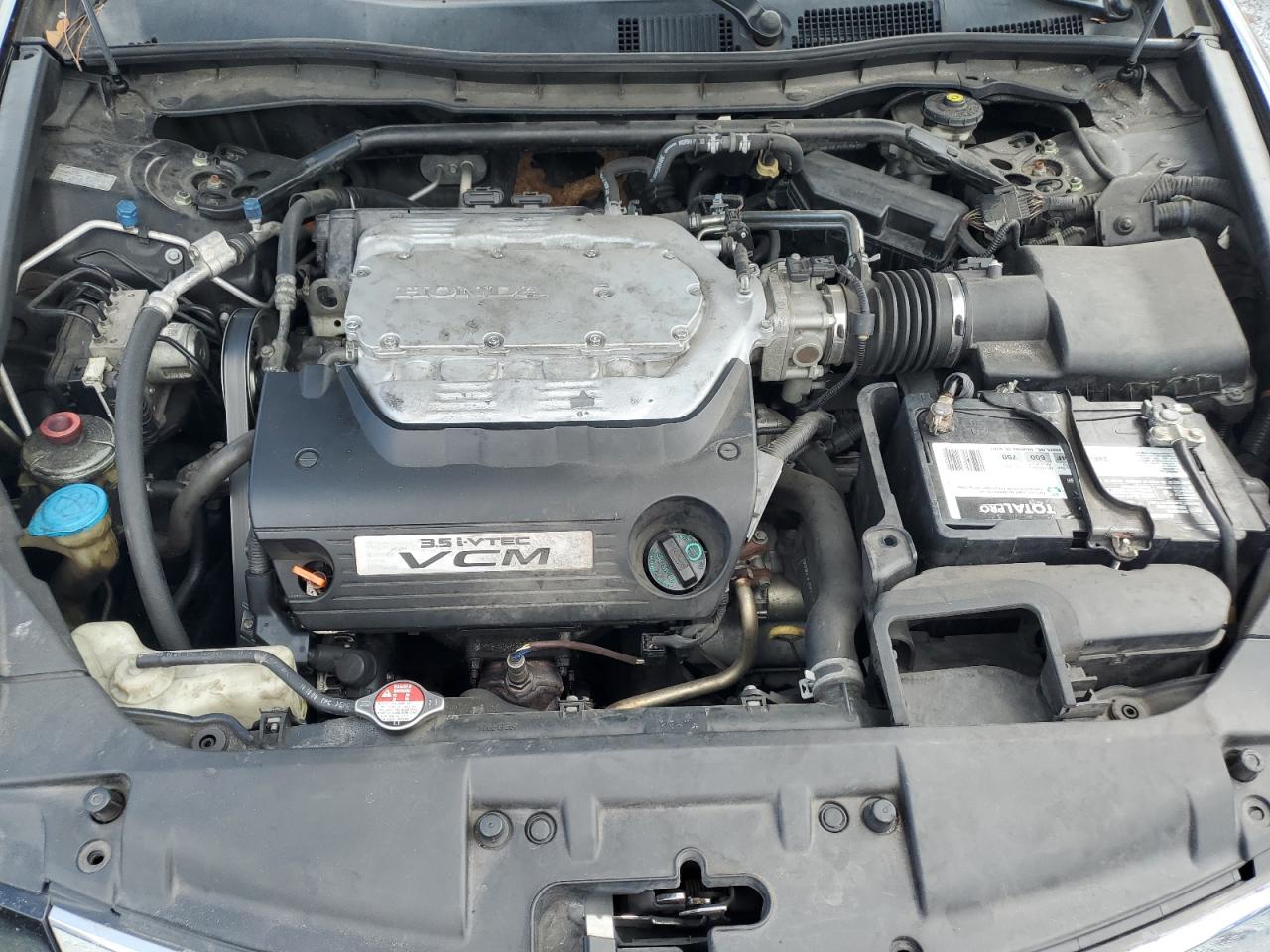 2010 Honda Accord Exl VIN: 1HGCP3F85AA012892 Lot: 85090685