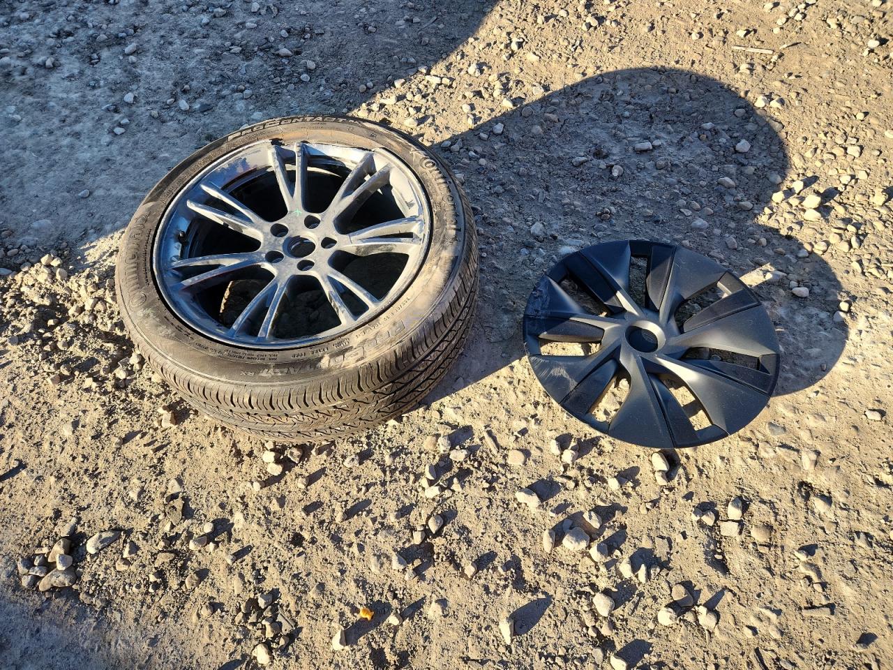 2025 Tesla Model Y VIN: 7SAYGAEE1SF246622 Lot: 90128885