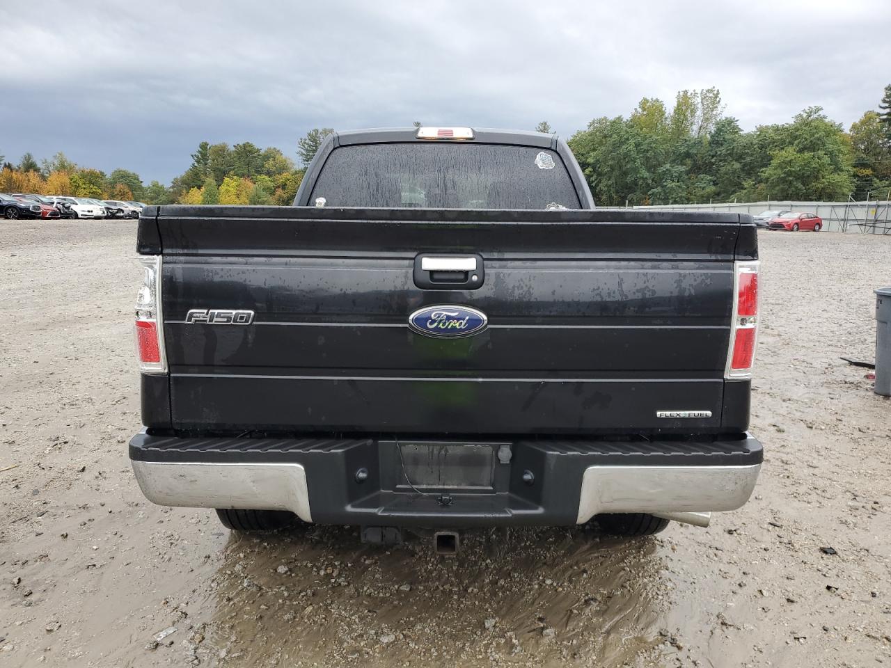 2014 Ford F150 Super Cab VIN: 1FTEX1EM5EFC46761 Lot: 85010405