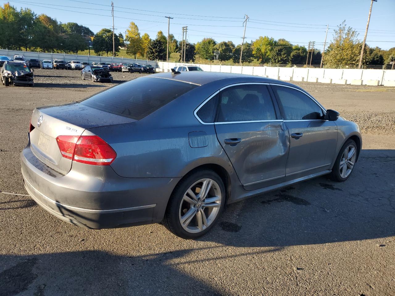 2013 Volkswagen Passat Sel VIN: 1VWCN7A39DC067391 Lot: 85530965