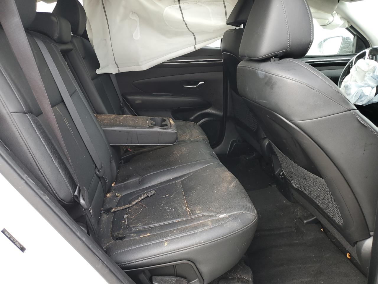 2023 Hyundai Tucson Sel VIN: 5NMJF3AE3PH258263 Lot: 85297685