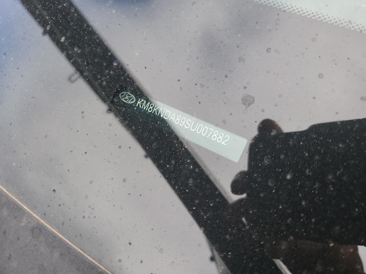 2025 Hyundai Ioniq 5 N VIN: KM8KNDA89SU007882 Lot: 91055445