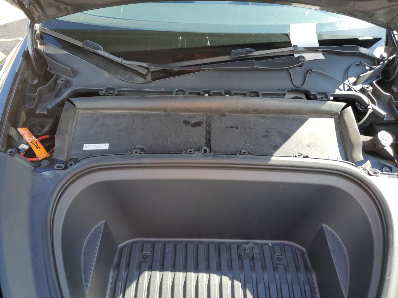 2023 Tesla Model Y VIN: 7SAYGDEF8PF692848 Lot: 90039725