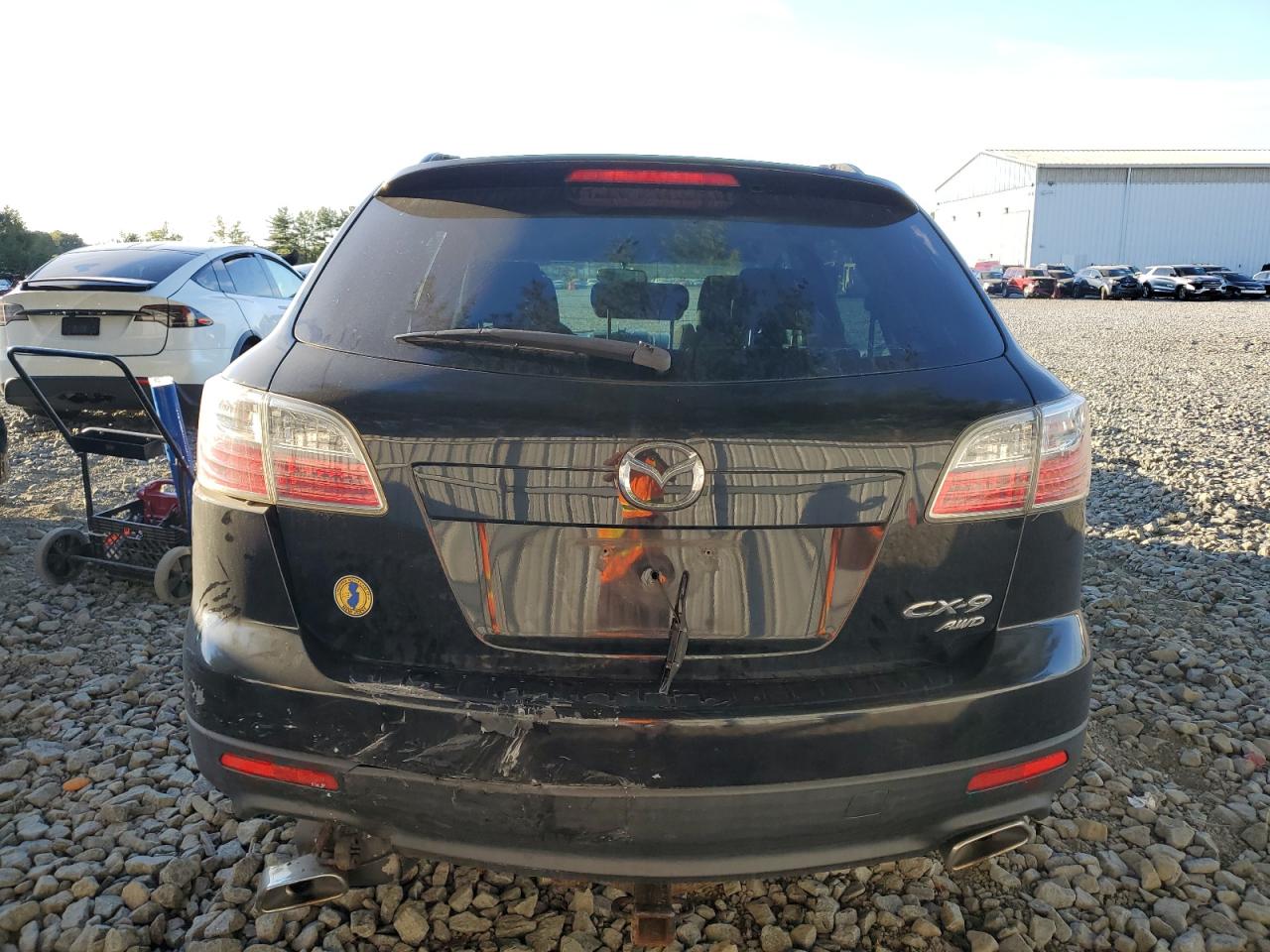 2010 Mazda Cx-9 VIN: JM3TB3MV0A0200447 Lot: 85339955