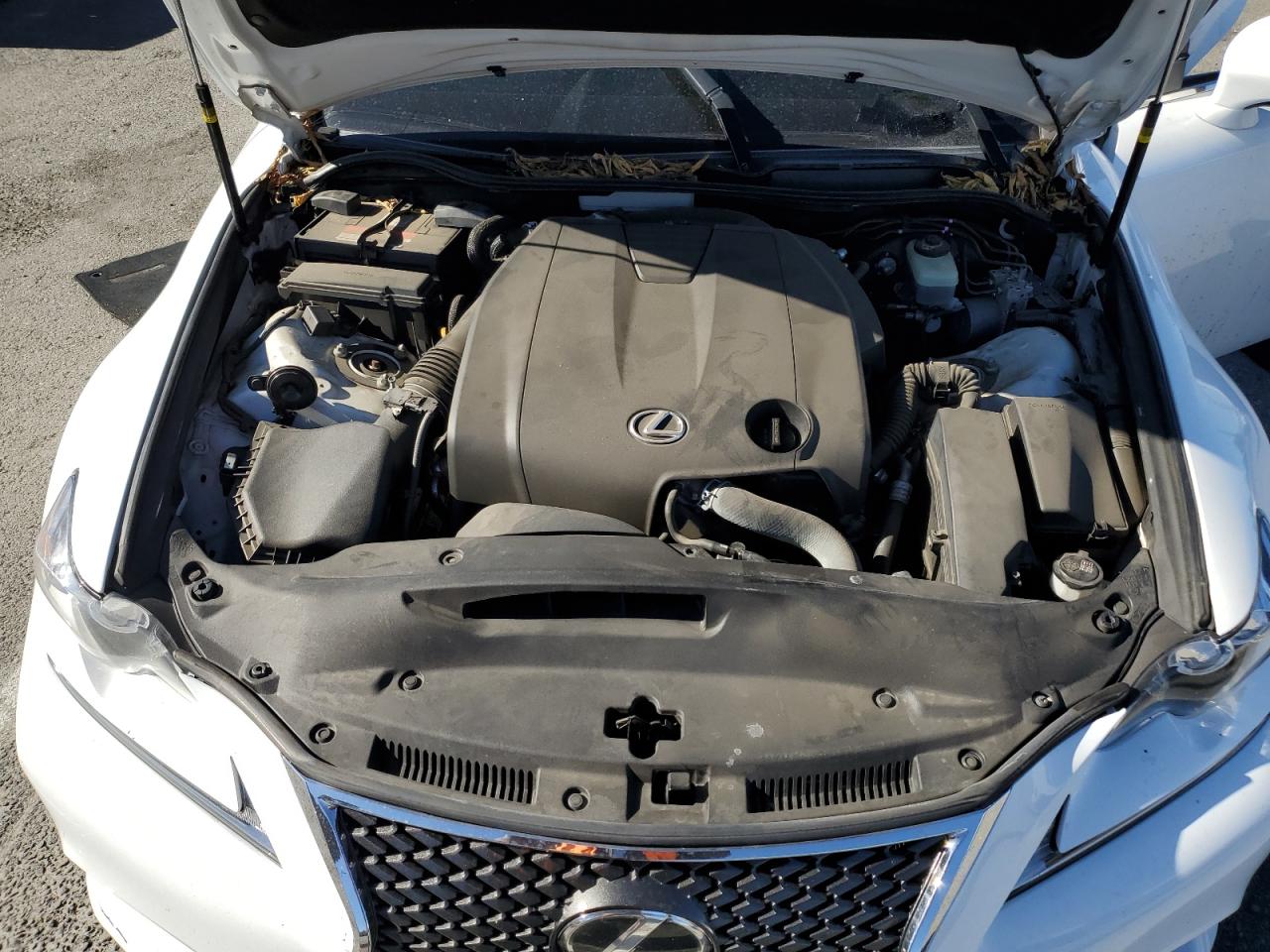 2014 Lexus Is 250 VIN: JTHBF1D25E5036848 Lot: 84745655