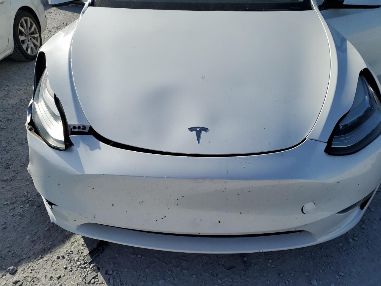 2023 Tesla Model Y VIN: 7SAYGDEEXPA083734 Lot: 82192275