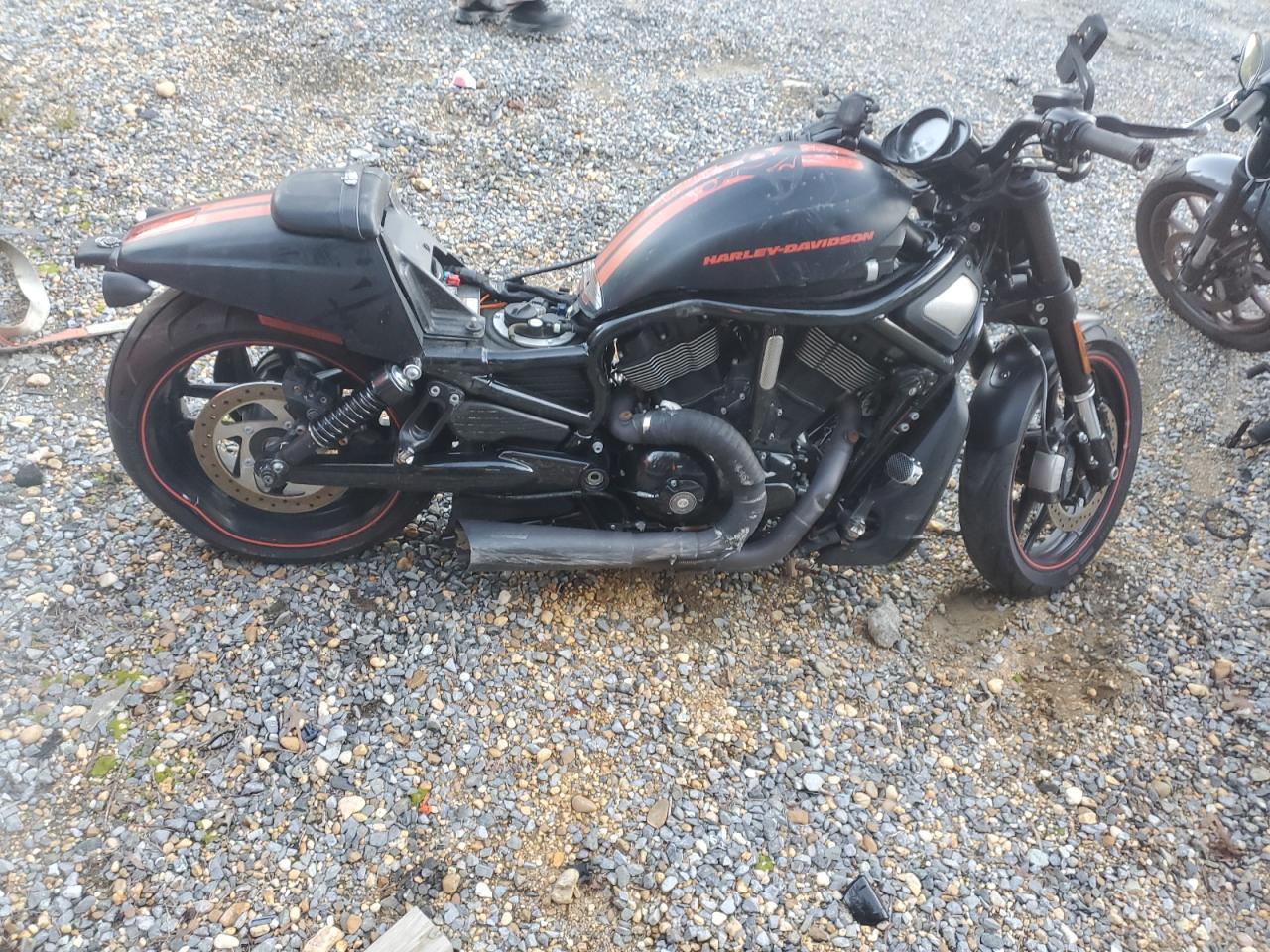2013 Harley-Davidson Vrscdx Night Rod Special