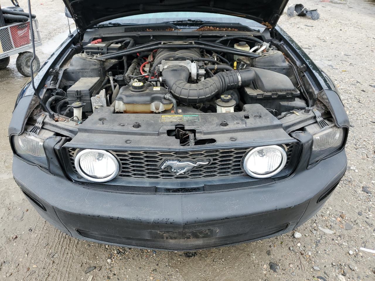 2006 Ford Mustang Gt VIN: 1ZVFT82H465241653 Lot: 86226125