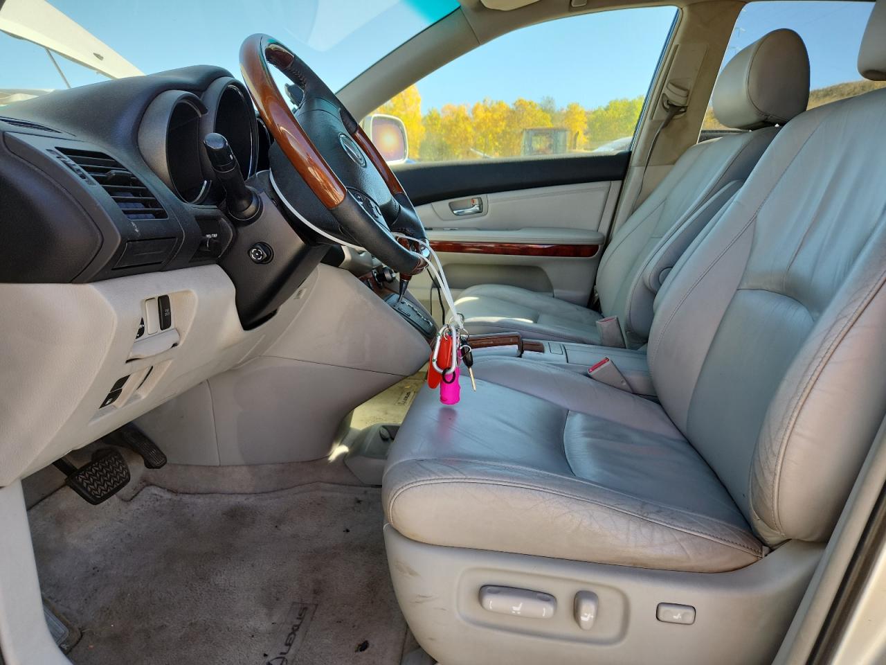 2004 Lexus Rx 330 VIN: JTJHA31UX40010976 Lot: 85350975