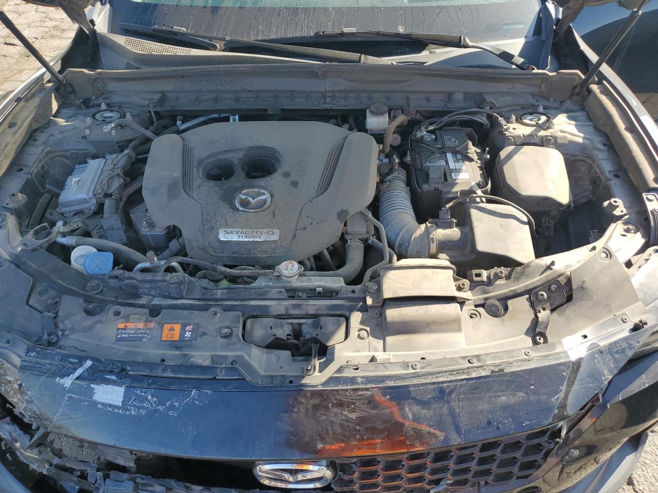 2023 Mazda Cx-50 Premium VIN: 7MMVABDY5PN115656 Lot: 81694255