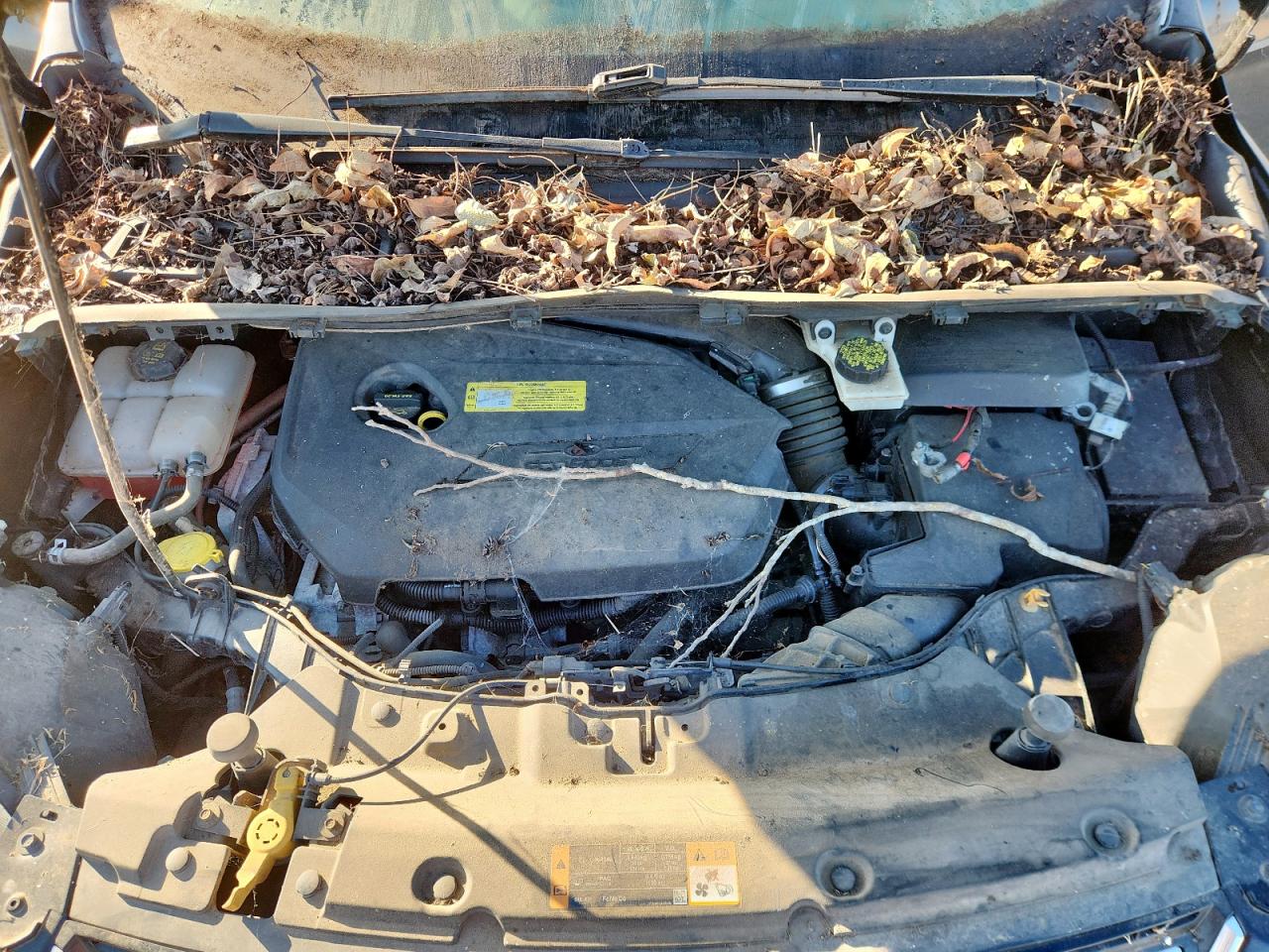 2013 Ford Escape Sel VIN: 1FMCU0HX0DUC56698 Lot: 82284155