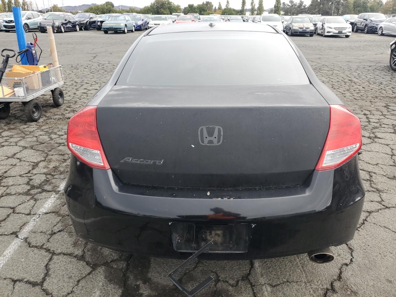 2011 Honda Accord Exl VIN: 1HGCS1B88BA008488 Lot: 81959135