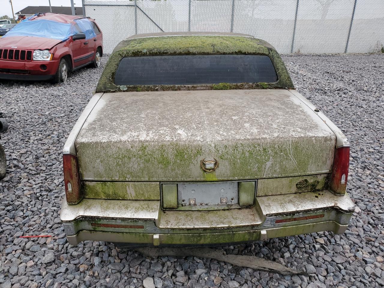 1989 Cadillac Eldorado VIN: 1G6EL1156KU610304 Lot: 86273295