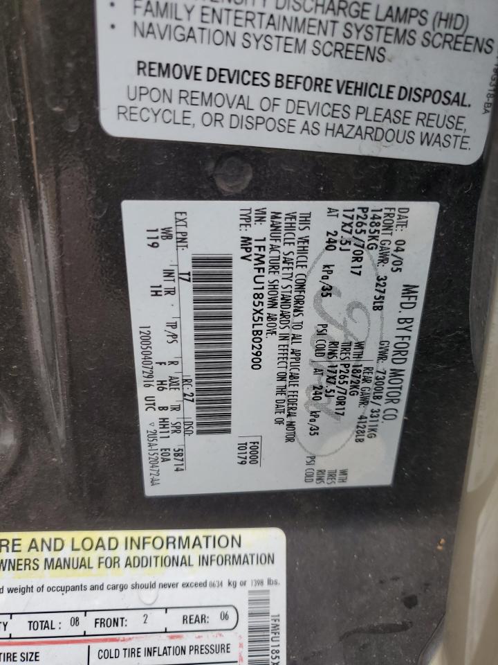 2005 Ford Expedition Eddie Bauer VIN: 1FMFU185X5LB02900 Lot: 85716405