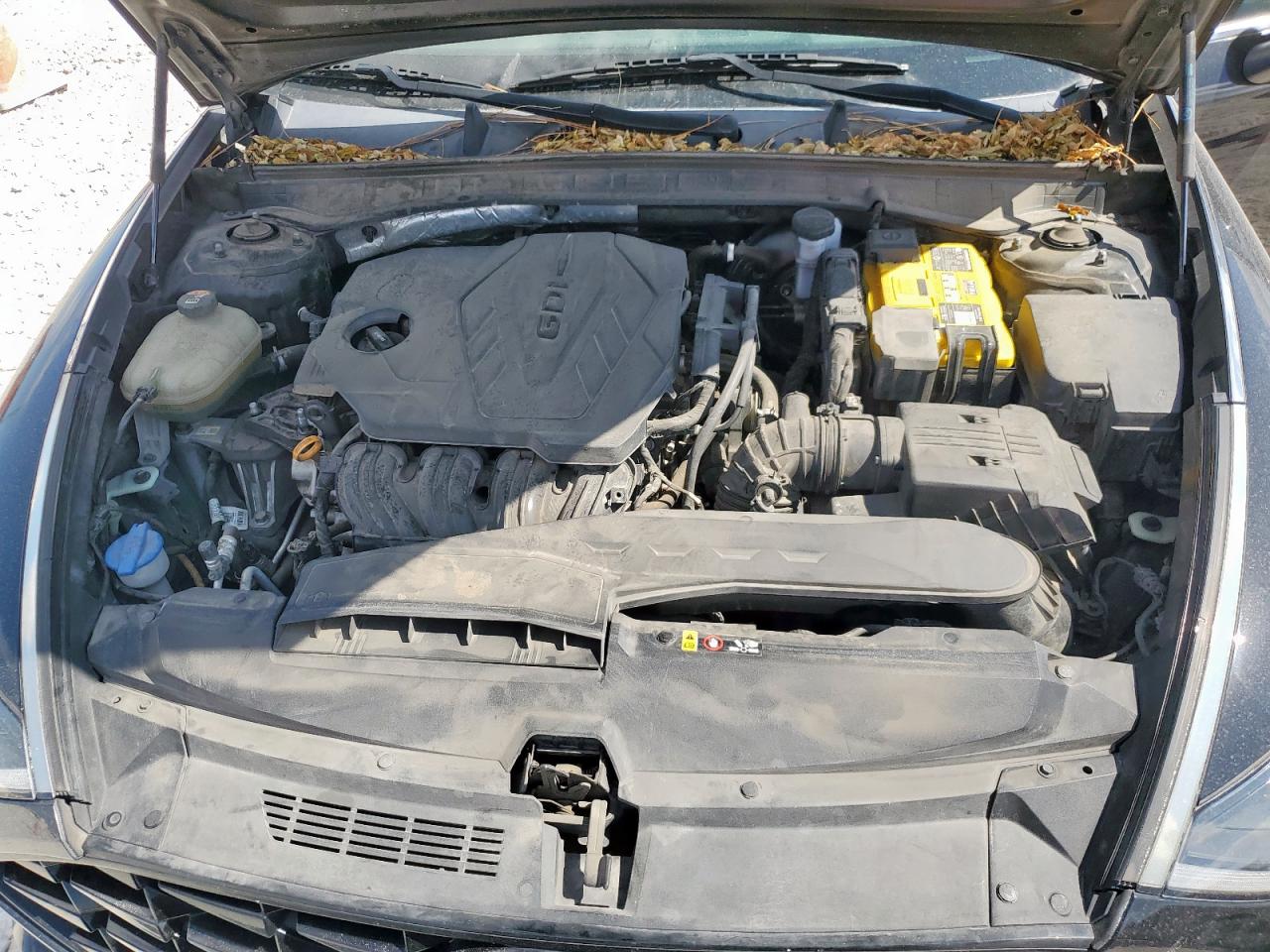 2020 Hyundai Sonata Sel VIN: 5NPEL4JA5LH036494 Lot: 86101365