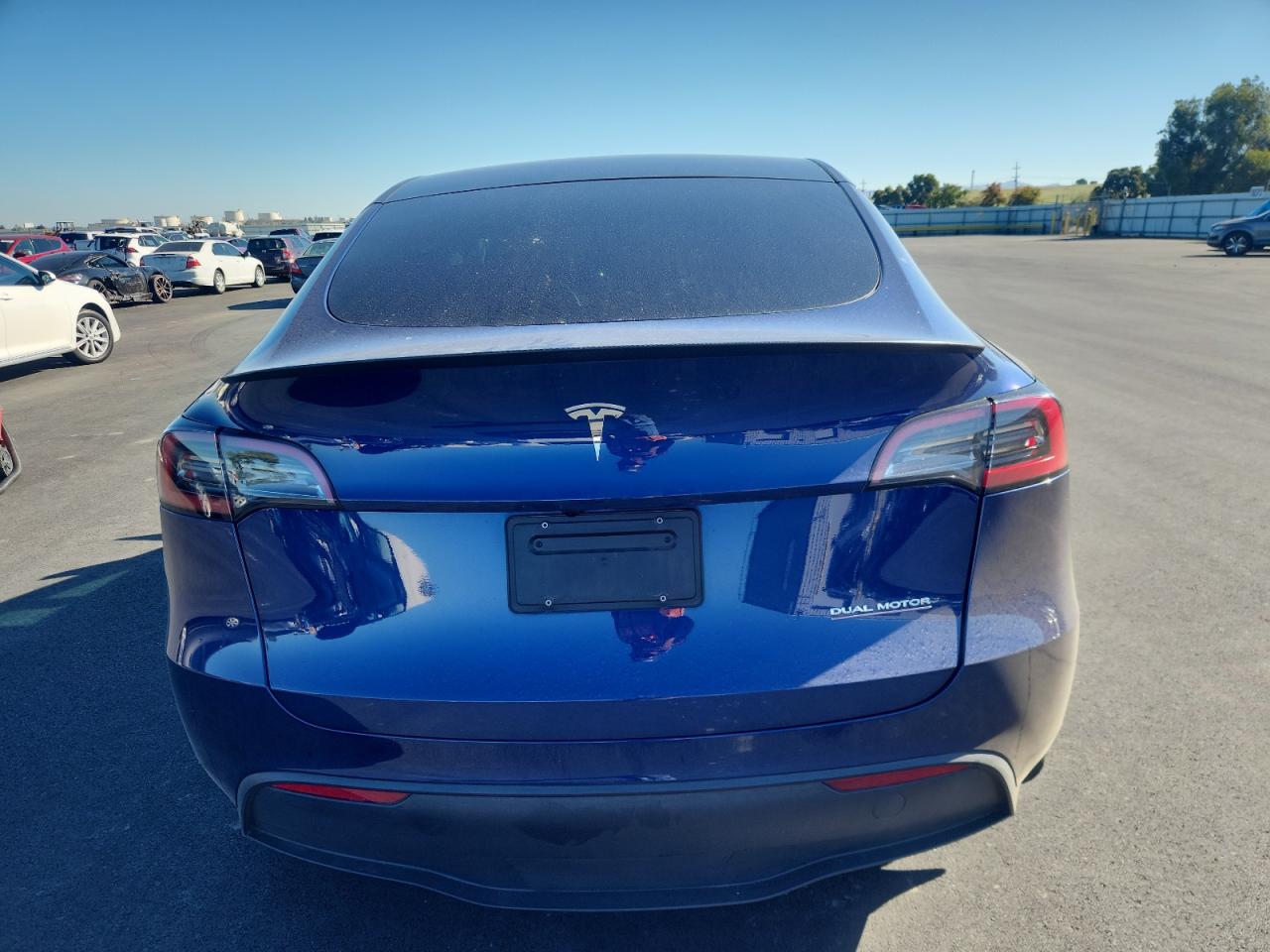 2023 Tesla Model Y VIN: 7SAYGDEF9PF812317 Lot: 85397715