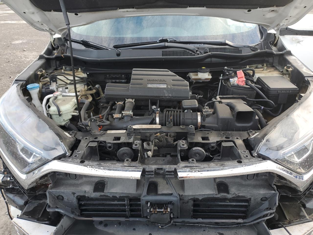 2019 Honda Cr-V Ex VIN: 5J6RW2H55KA017305 Lot: 89493405