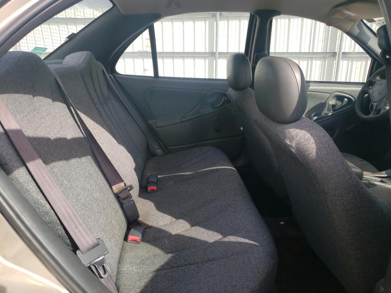 2004 Chevrolet Cavalier VIN: 1G1JC52F347256214 Lot: 81973345