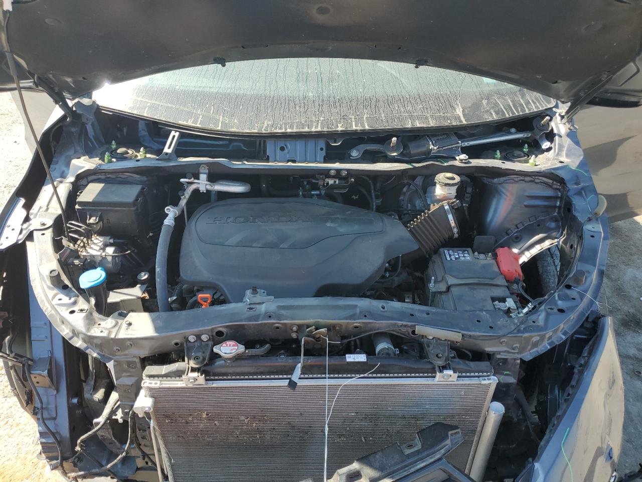 2024 Honda Odyssey Elite VIN: 5FNRL6H97RB015596 Lot: 81935095