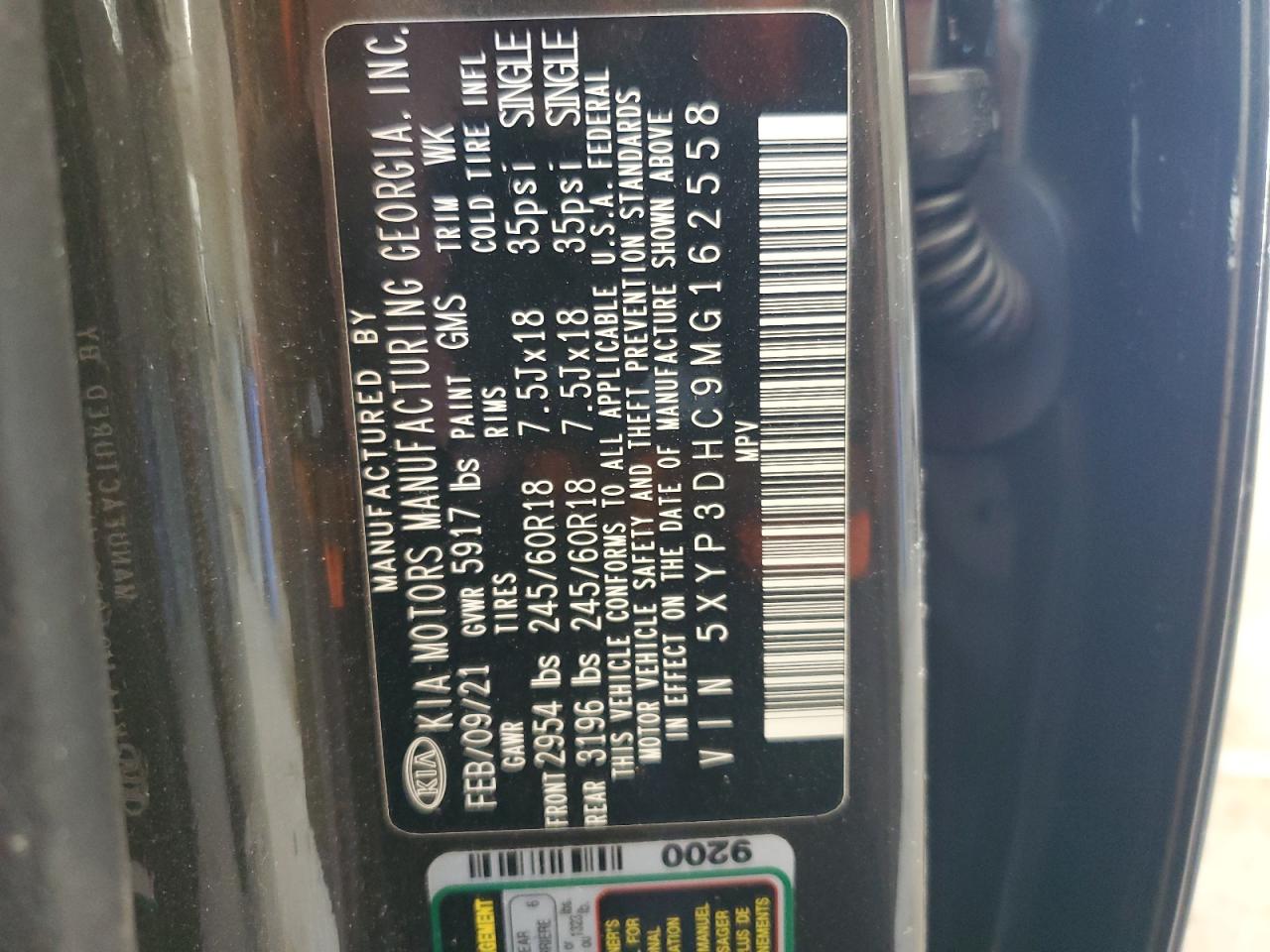 2021 Kia Telluride Ex VIN: 5XYP3DHC9MG162558 Lot: 86074425