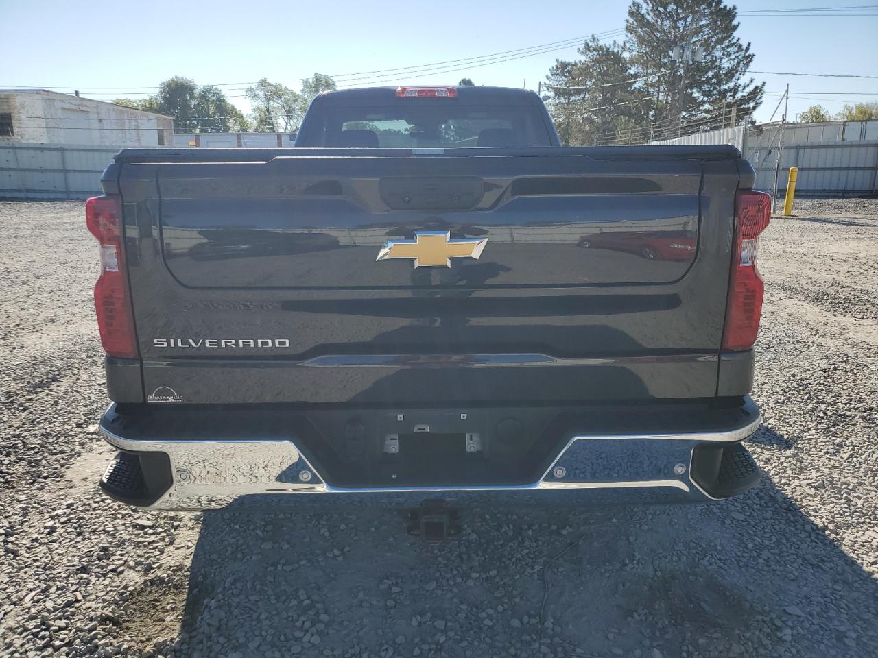 2024 Chevrolet Silverado C1500 VIN: 3GCNAAED1RG100749 Lot: 84386995