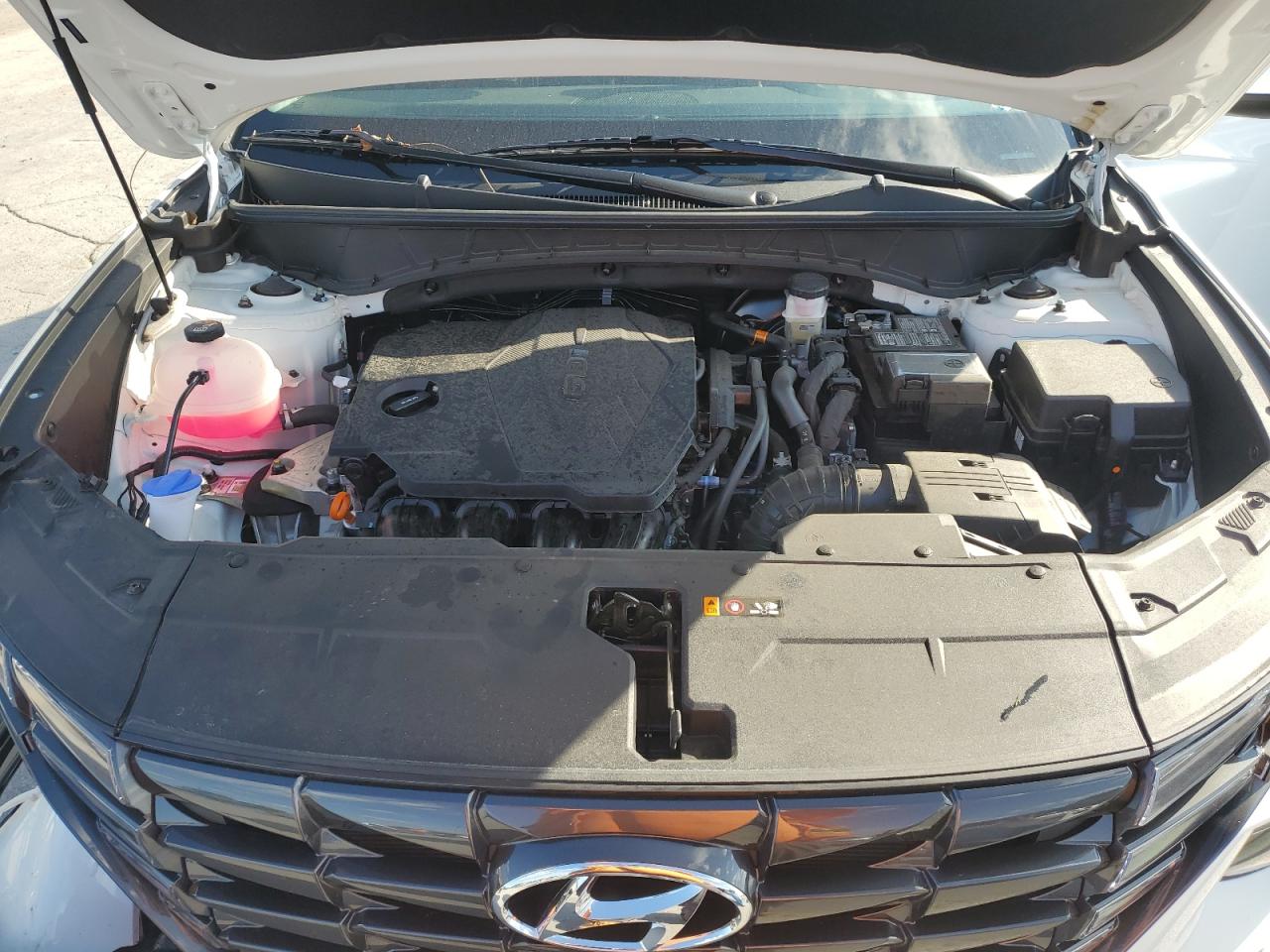 2024 Hyundai Tucson Sel VIN: 5NMJB3DE2RH397276 Lot: 82215865