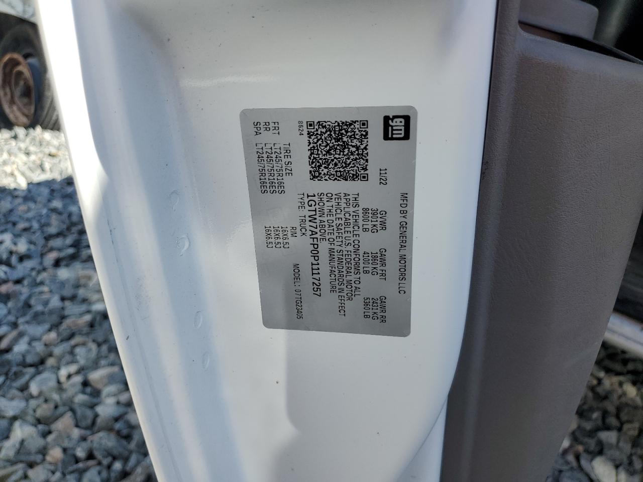 2023 GMC Savana G2500 VIN: 1GTW7AFP0P1117257 Lot: 87453455