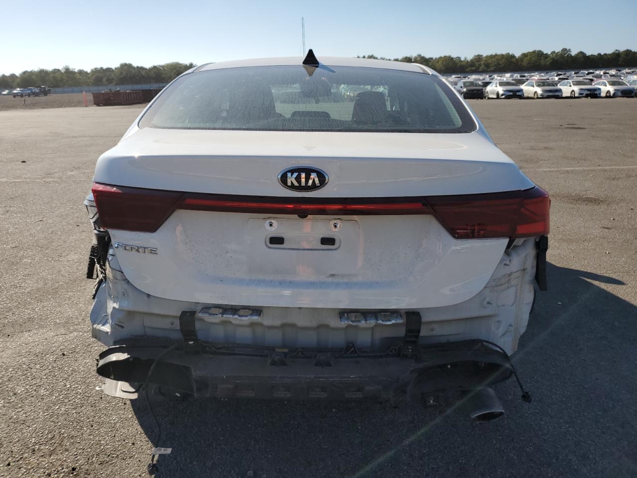 2020 Kia Forte Fe VIN: 3KPF24AD1LE209322 Lot: 85332575
