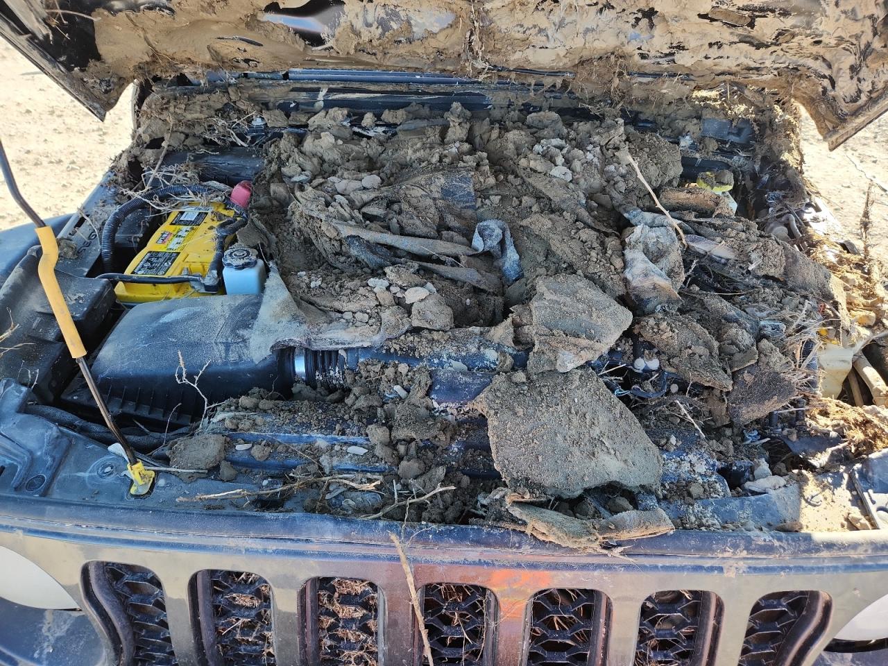 2022 Jeep Gladiator Mojave VIN: 1C6JJTEG4NL154006 Lot: 87231905