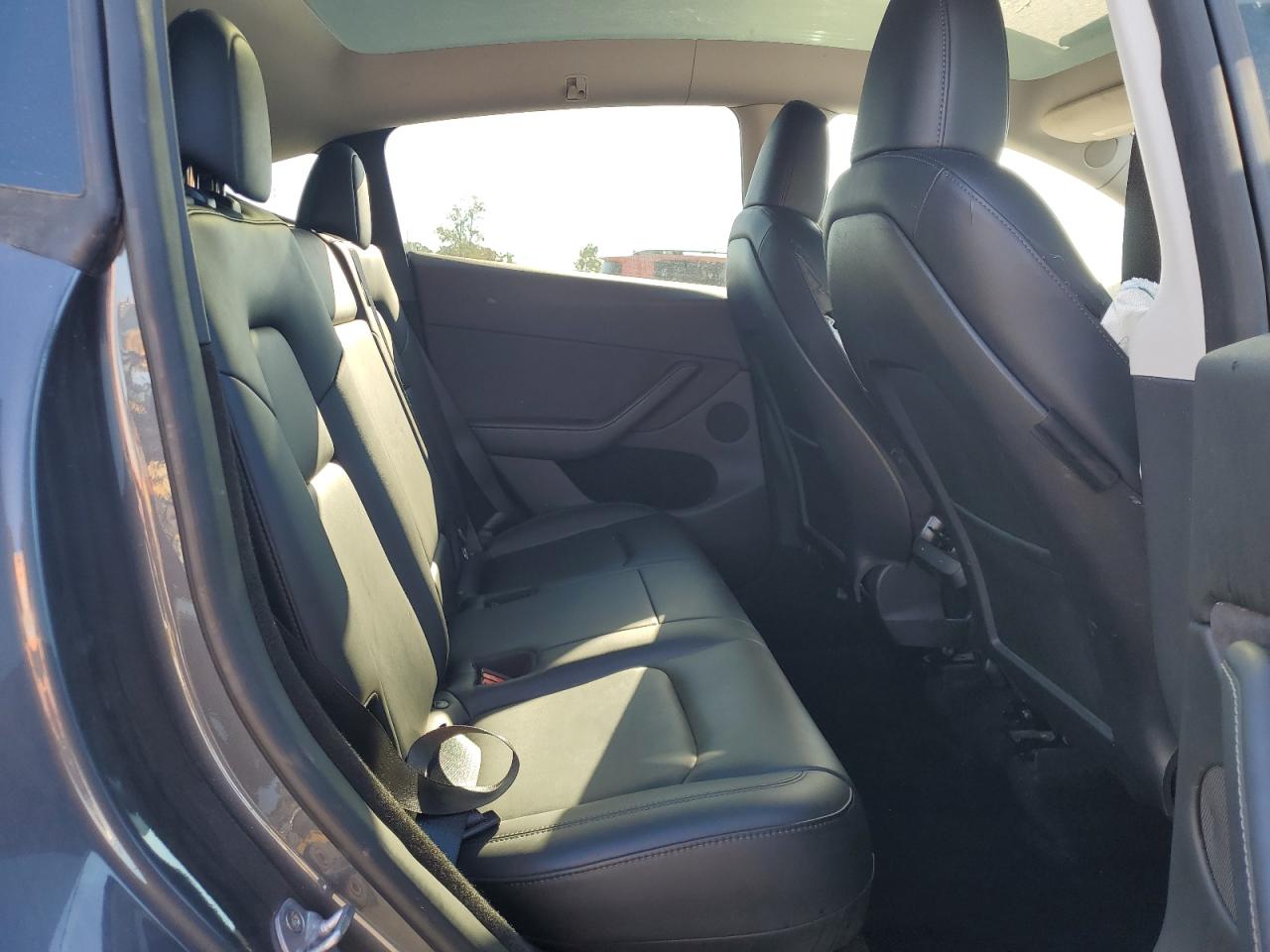 2023 Tesla Model Y VIN: 7SAYGDEEXPA109331 Lot: 81284435