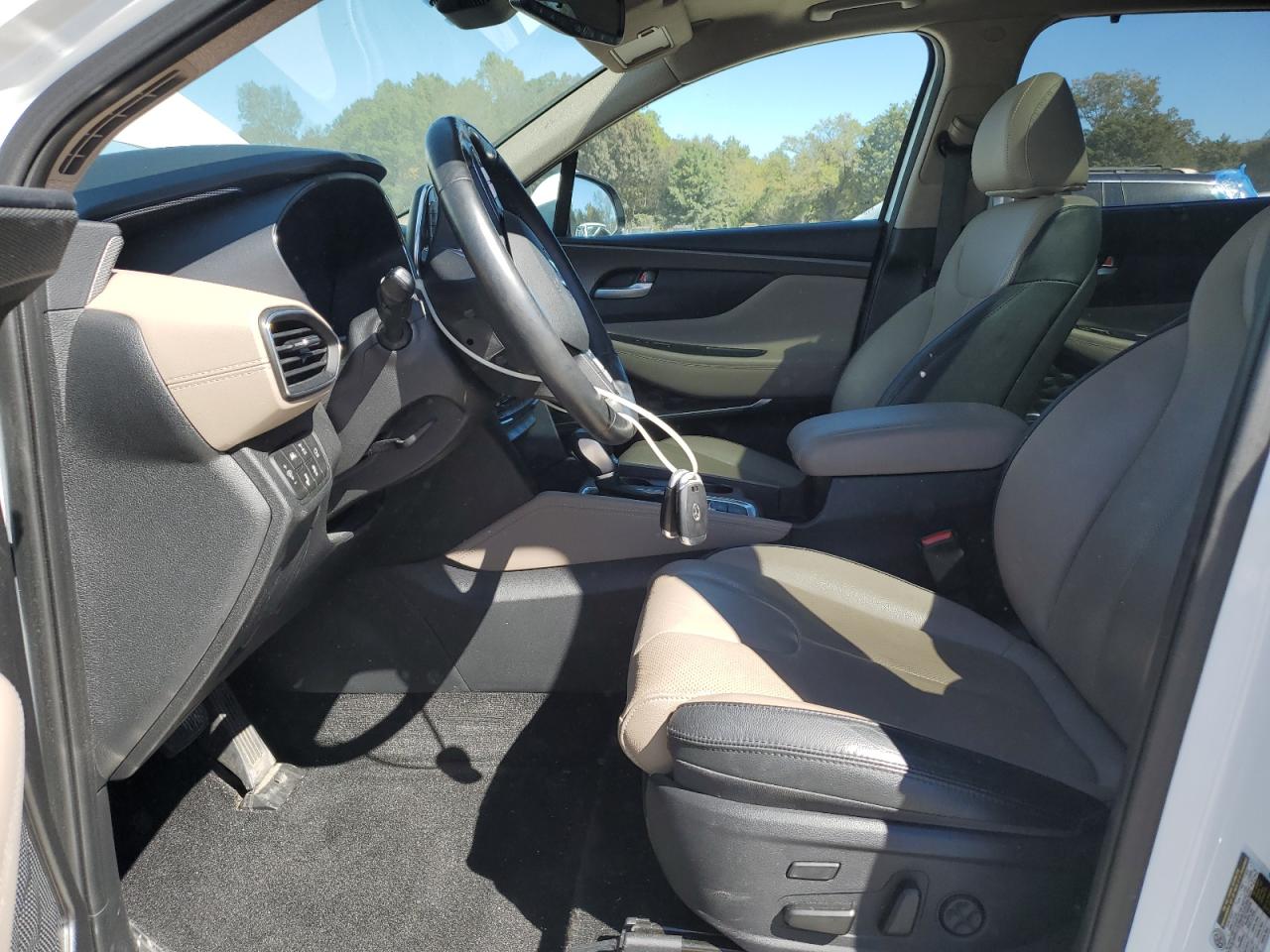 2020 Hyundai Santa Fe Limited VIN: 5NMS5CAA0LH290621 Lot: 82396565