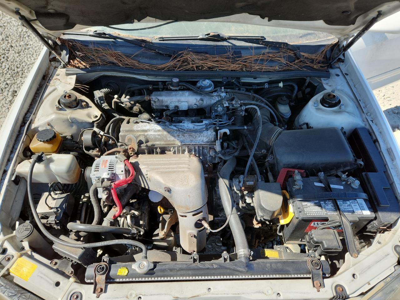 2000 Toyota Camry Le VIN: JT2BG28K1Y0513428 Lot: 82124915