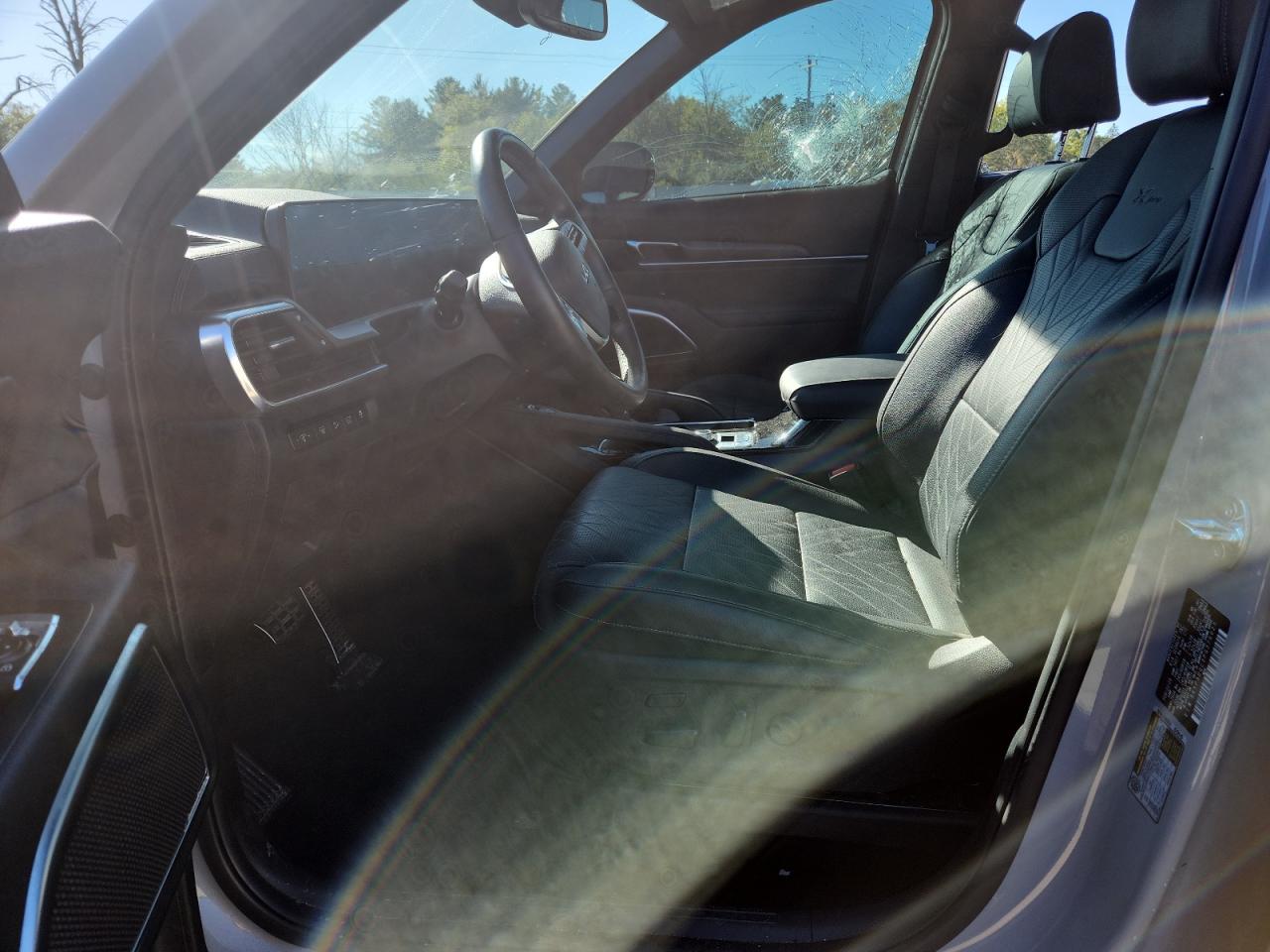 2023 Kia Telluride Sx VIN: 5XYP5DGC3PG376025 Lot: 84385785