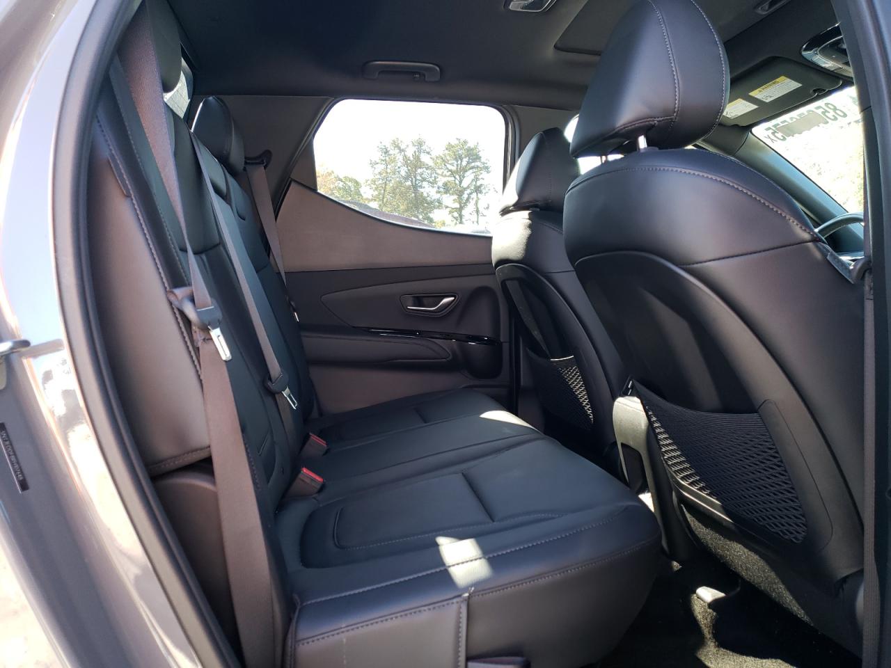 2024 Hyundai Santa Cruz Limited VIN: 5NTJEDDF8RH107648 Lot: 85676575