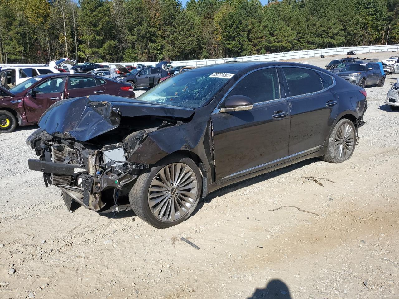 2018 Kia Cadenza Luxury