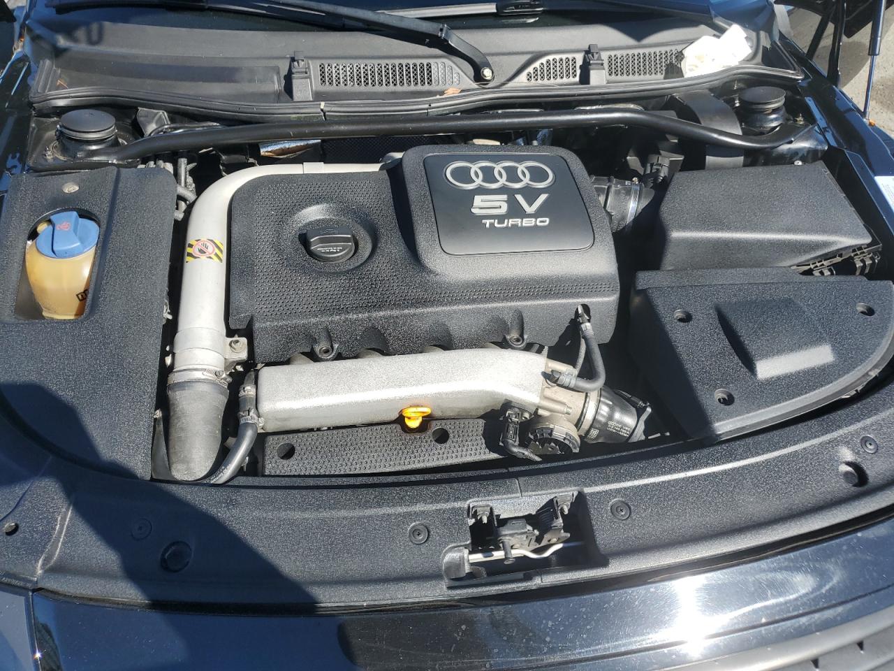 Фото: TRUUT28N311037162