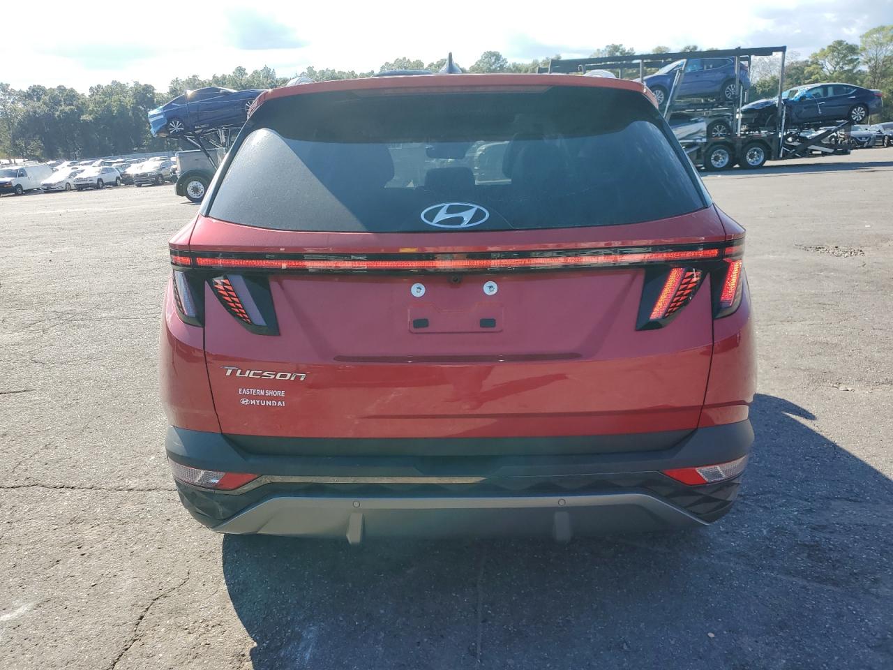 2023 Hyundai Tucson Limited VIN: 5NMJE3AE6PH271639 Lot: 87242835