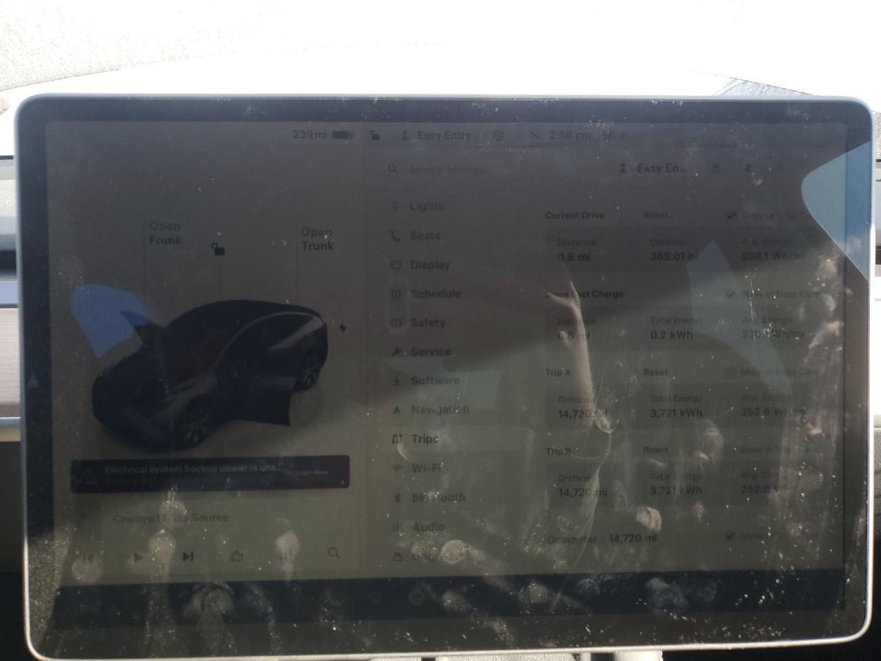 2023 Tesla Model Y VIN: 7SAYGDEE1PA155517 Lot: 82743245