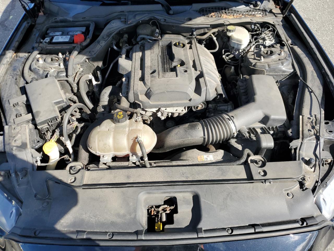 2017 Ford Mustang VIN: 1FA6P8TH8H5201767 Lot: 80384695