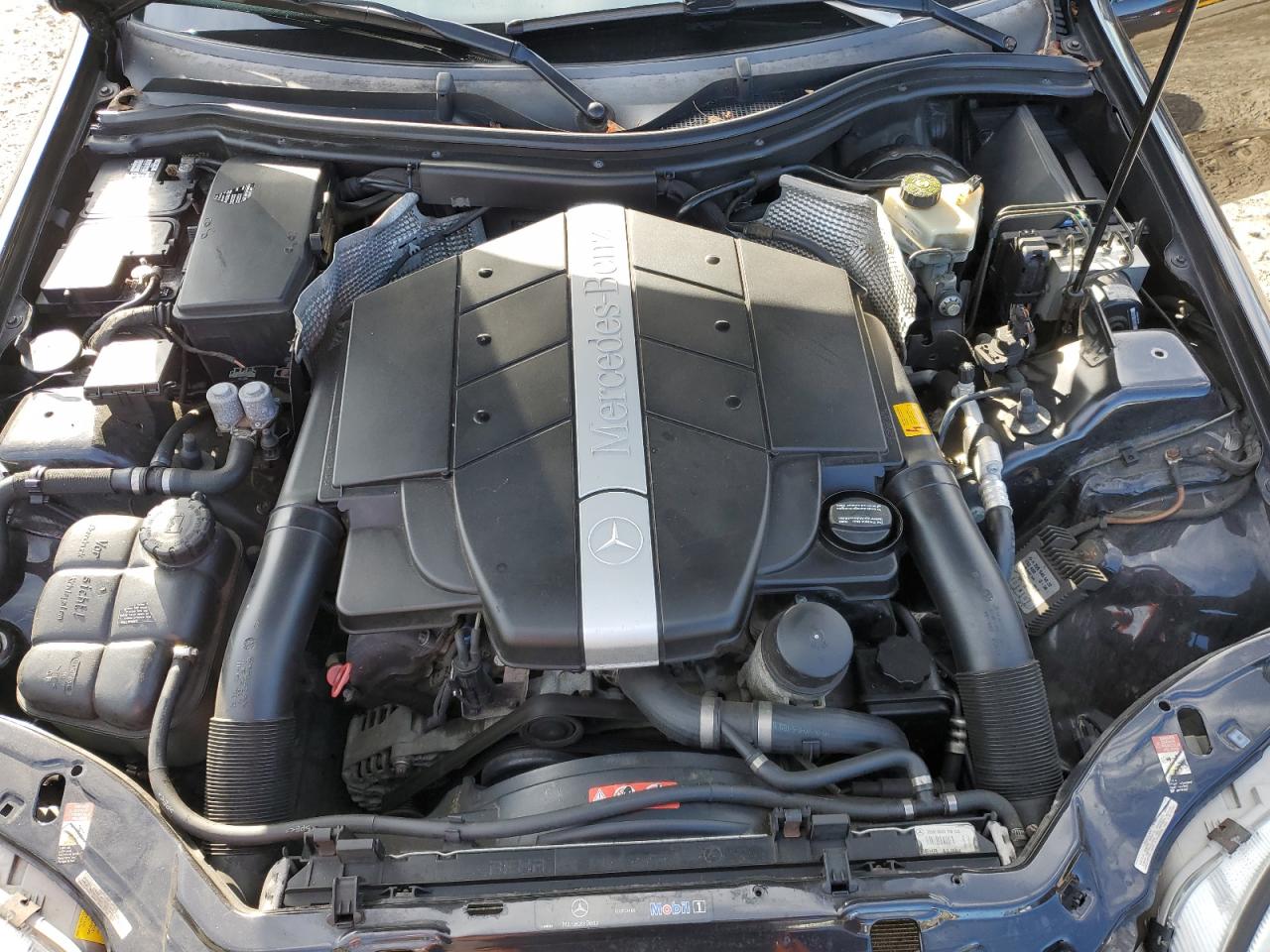 2004 Mercedes-Benz Slk 320 VIN: WDBKK65F74F307265 Lot: 85599425