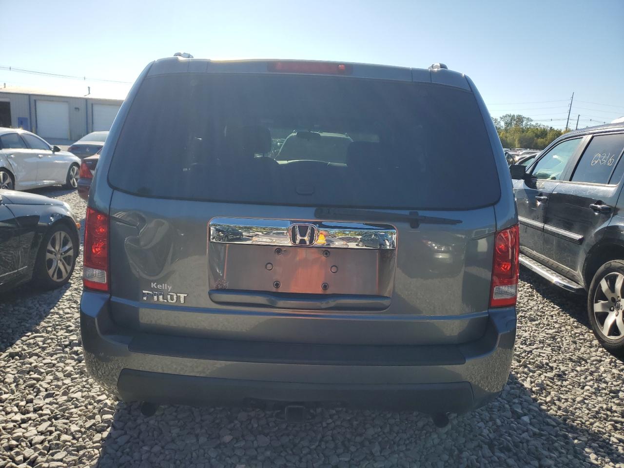 2009 Honda Pilot Ex VIN: 5FNYF38419B019133 Lot: 83838925