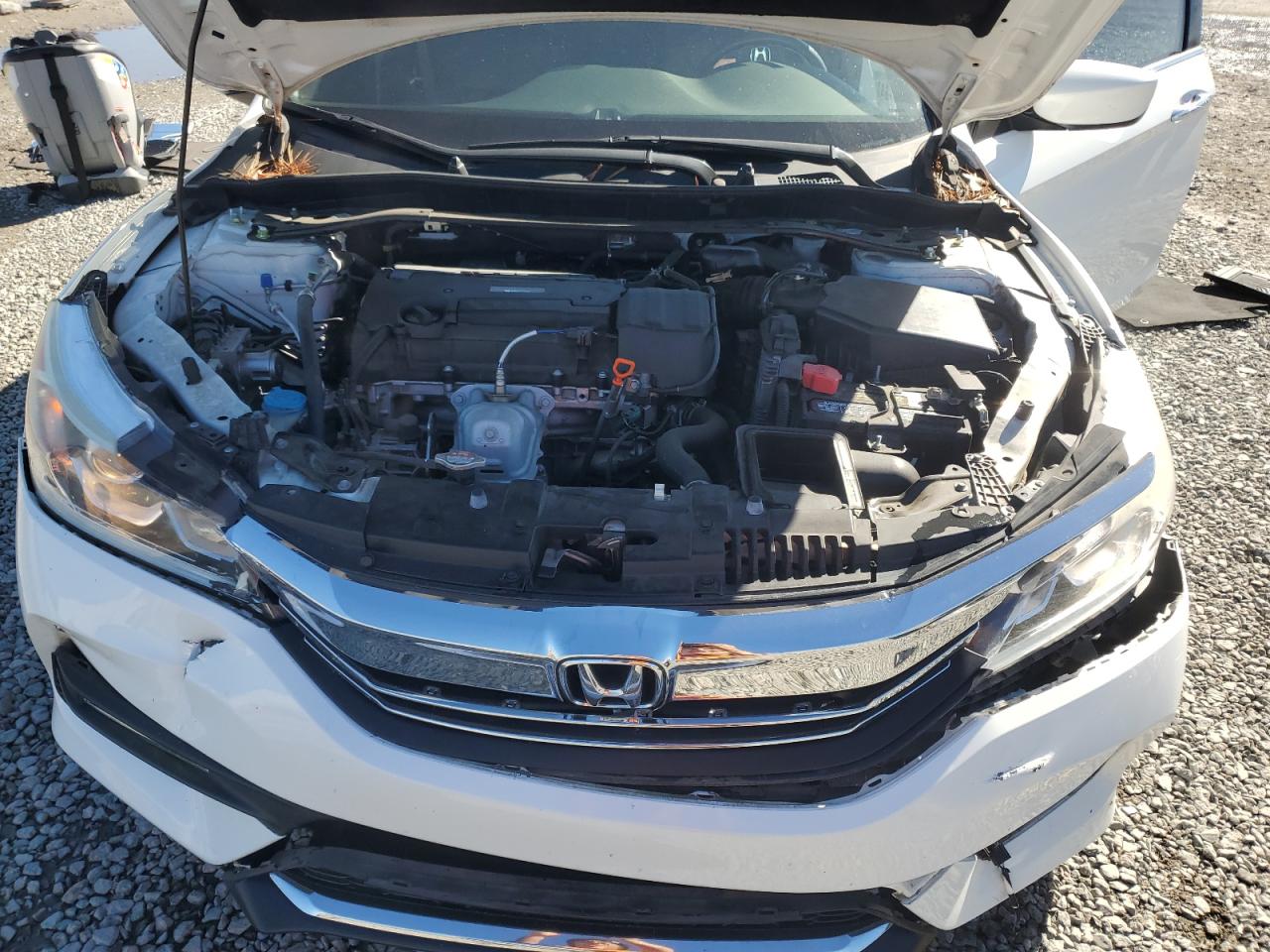 2017 Honda Accord Sport Special Edition VIN: 1HGCR2F1XHA221885 Lot: 91049355