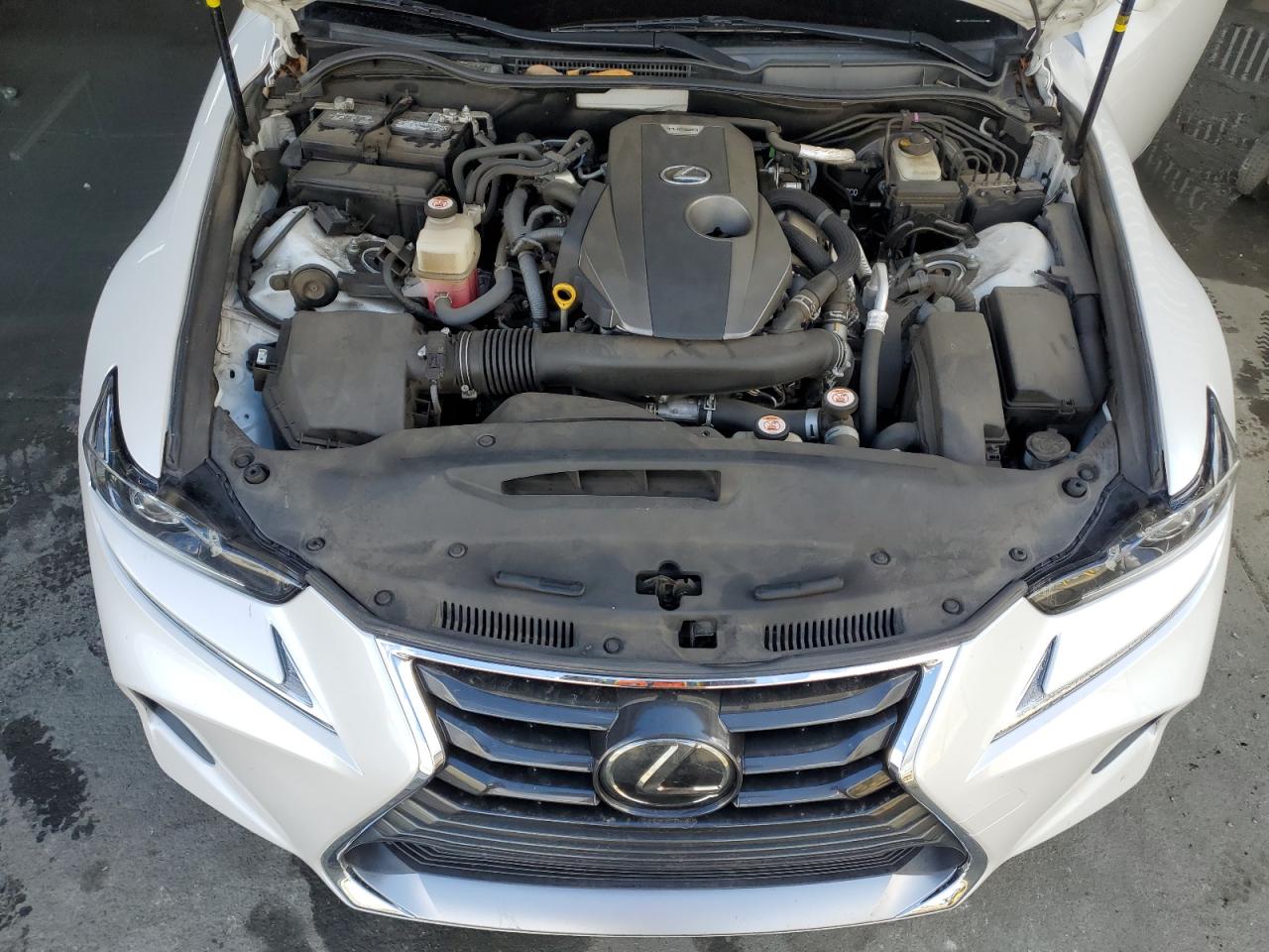 2019 Lexus Is 300 VIN: JTHBA1D28K5096360 Lot: 84992235