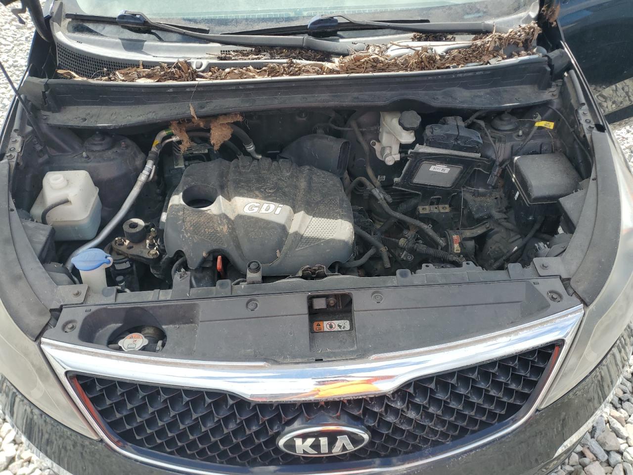 2015 Kia Sportage Lx VIN: KNDPB3AC8F7714297 Lot: 81879575